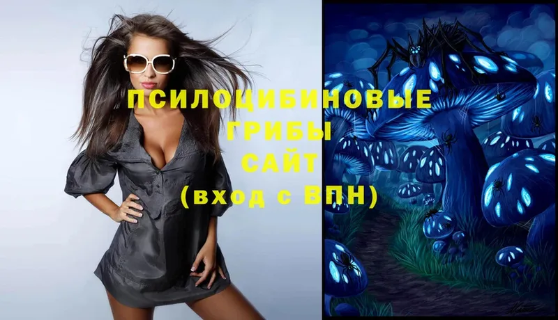 Галлюциногенные грибы Magic Shrooms  Малоярославец 